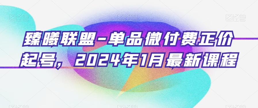 臻曦联盟-单品微付费正价起号，2024年1月最新课程-杨大侠副业网