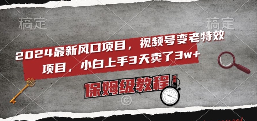 2024最新风口项目，视频号变老特效项目，电脑小白上手3天卖了3w+，保姆级教程【揭秘】-杨大侠副业网