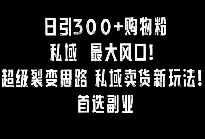 日引300+购物粉，超级裂变思路，私域卖货新玩法，小红书首选副业【揭秘】-杨大侠副业网