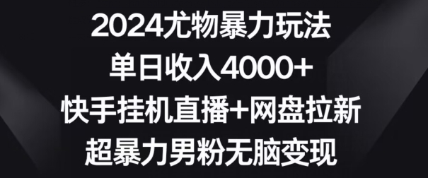 2024尤物暴力玩法，单日收入4000+，快手挂机直播+网盘拉新，超暴力男粉无脑变现【揭秘】-杨大侠副业网