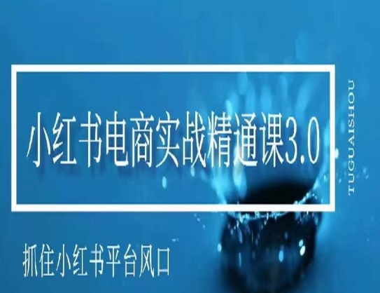 小红书电商实战精通课3.0，抓住小红书平台的风口，不错过有一个赚钱的机会-杨大侠副业网