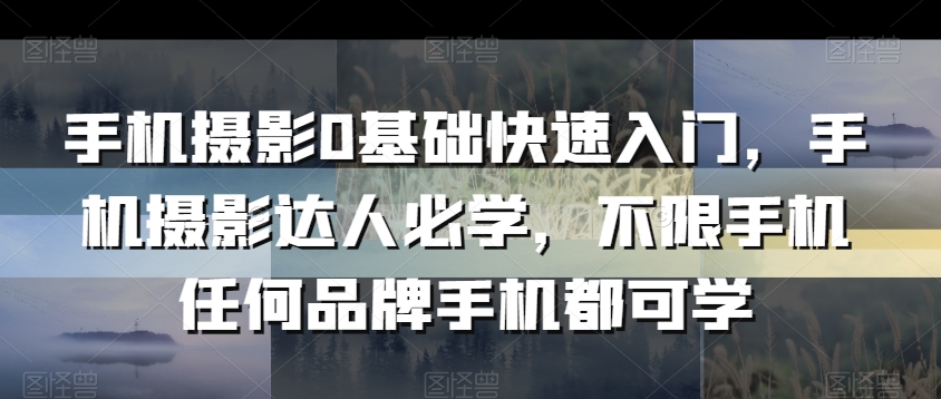 手机摄影0基础快速入门，手机摄影达人必学，不限手机任何品牌手机都可学-杨大侠副业网