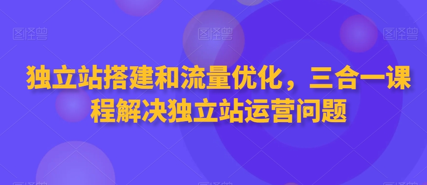 独立站搭建和流量优化，三合一课程解决独立站运营问题-杨大侠副业网