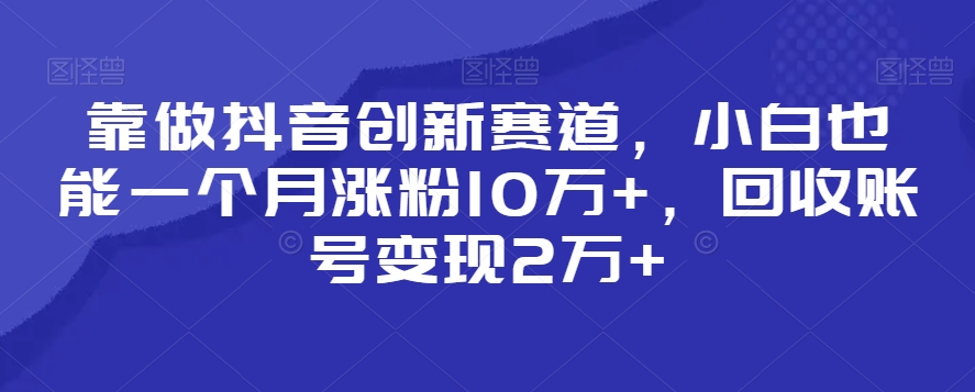 靠做抖音创新赛道，小白也能一个月涨粉10万+，回收账号变现2万+【揭秘】-杨大侠副业网