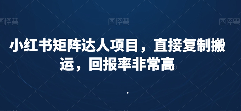 小红书矩阵达人项目，直接复制搬运，回报率非常高-杨大侠副业网