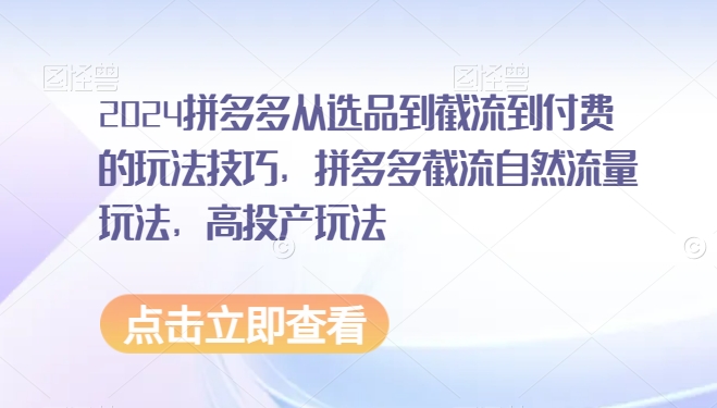 2024拼多多从选品到截流到付费的玩法技巧，拼多多截流自然流量玩法，高投产玩法-杨大侠副业网