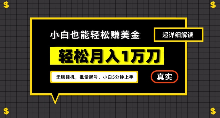 谷歌看广告撸美金2.0，无脑挂机，多号操作，月入1万刀【揭秘】-杨大侠副业网