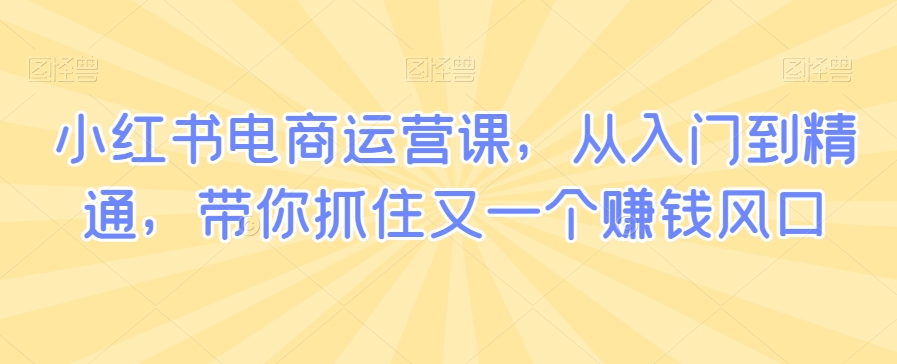 小红书电商运营课，从入门到精通，带你抓住又一个赚钱风口-杨大侠副业网