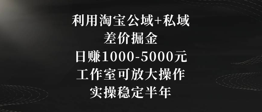 利用淘宝公域+私域差价掘金，日赚1000-5000元，工作室可放大操作，实操稳定半年【揭秘】-杨大侠副业网