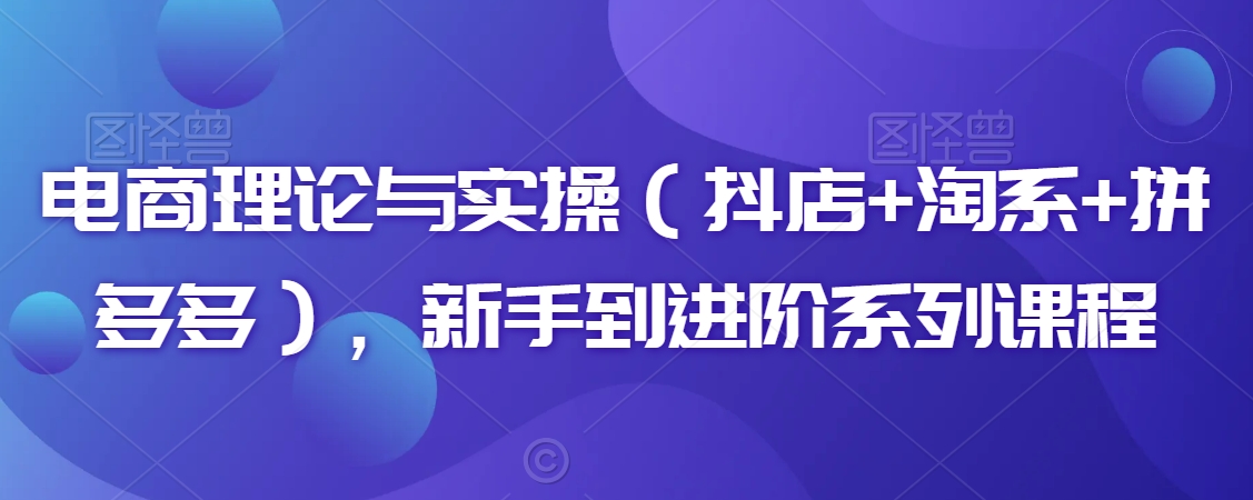 电商理论与实操（抖店+淘系+拼多多），新手到进阶系列课程-杨大侠副业网