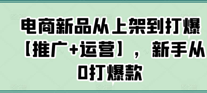 电商新品从上架到打爆【推广+运营】，新手从0打爆款-杨大侠副业网