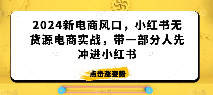 2024新电商风口，小红书无货源电商实战，带一部分人先冲进小红书-杨大侠副业网